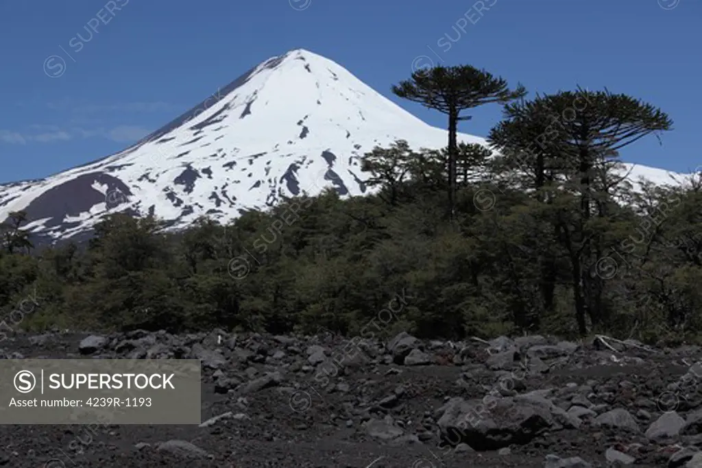 December 4, 2009 - Llaima volcano, Araucania region, Chile