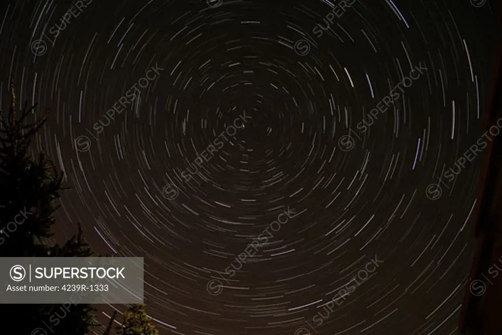 Star Trails around Polaris in the constellation Ursa Minor