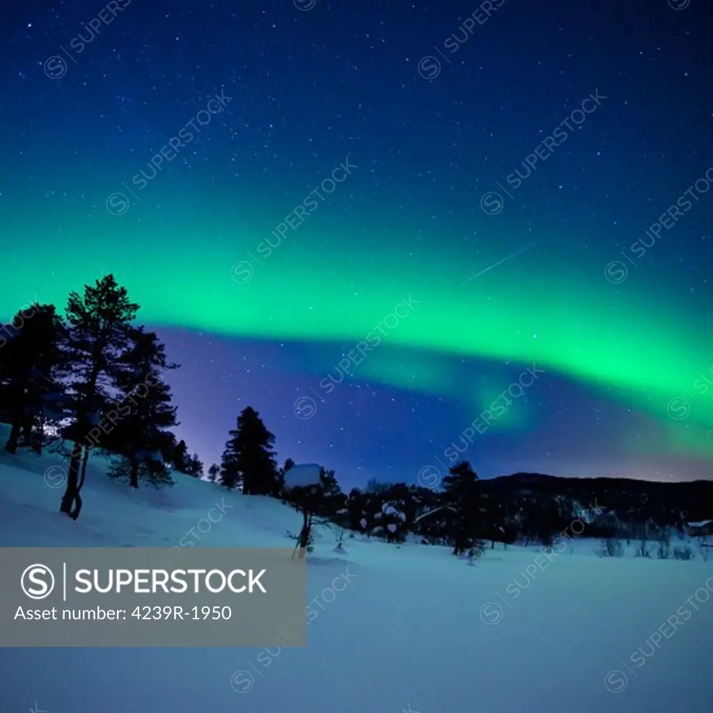 Aurora Borealis and a shooting star in the woods of Troms County, Norway. Auroras are the result of the emissions of photons in the Earth's upper atmosphere.