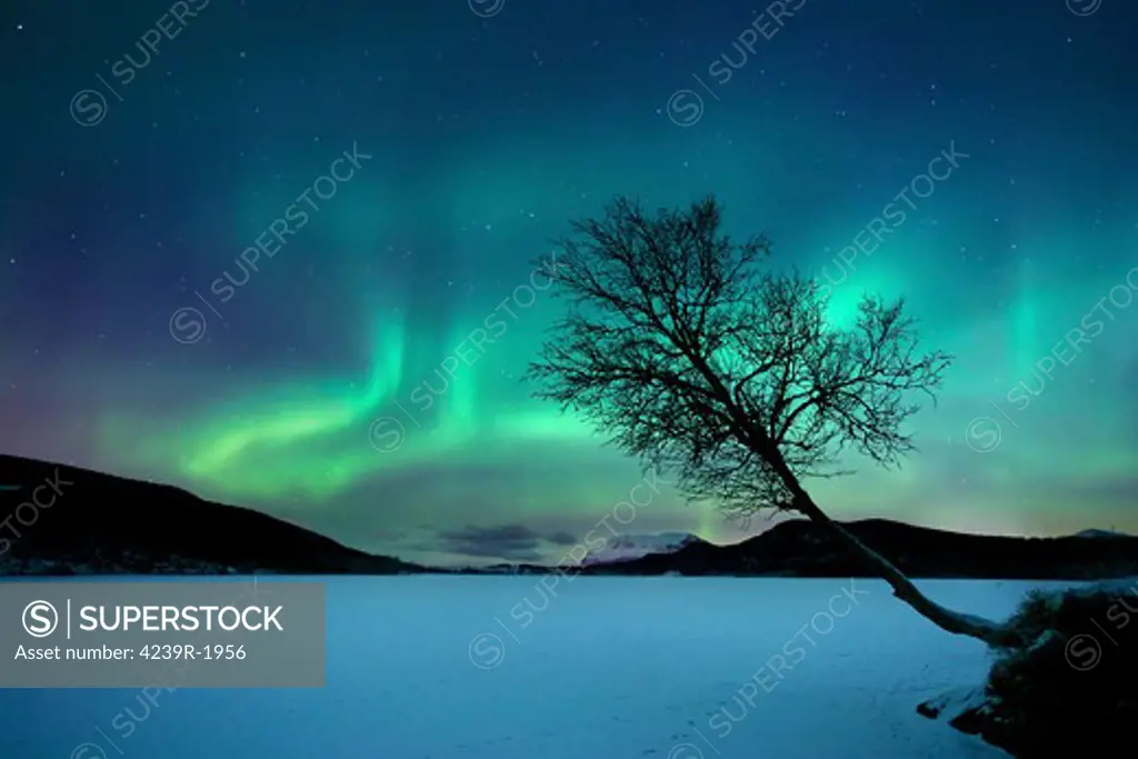 Aurora Borealis over Sandvannet Lake in Troms County, Norway. Auroras are the result of the emissions of photons in the Earth's upper atmosphere.