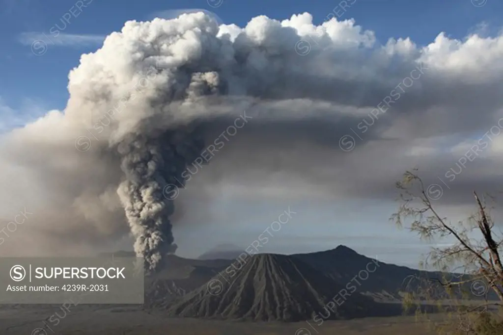 March 19, 2011 - Eruption of ash cloud from Mount Bromo volcano, Tengger Caldera, Java, Indonesia. Inactive Batok cone is in center of image .