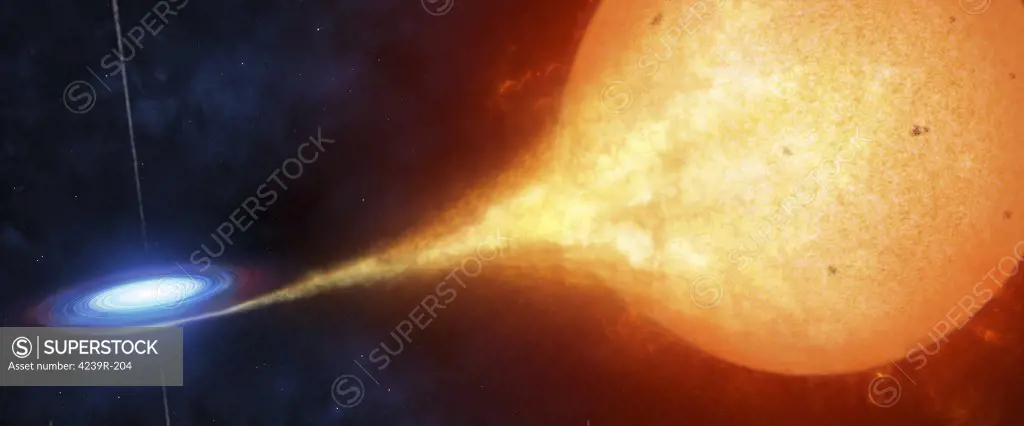 A compact object, or a black hole, is seen ripping off gas from its' sun-like companion that has filled its' Roche Lobe