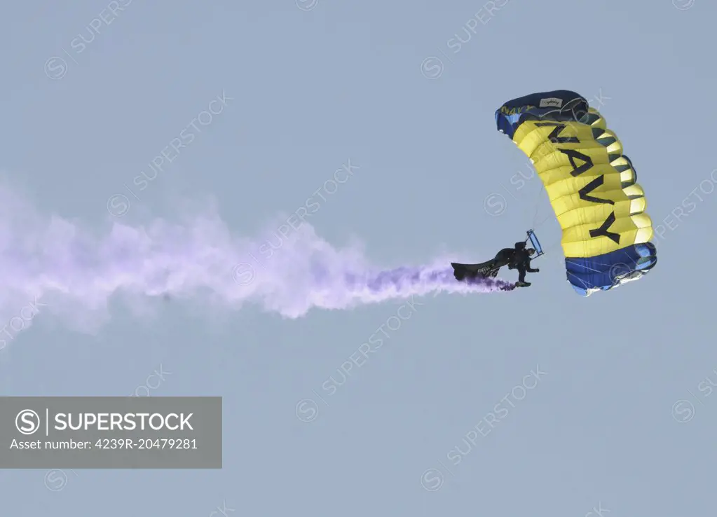 Avondale, Arizona, March 26, 2012 - Member of the U.S. Navy parachute demonstration team, the Leap Frogs, flies a POW/MIA flag during a special event.