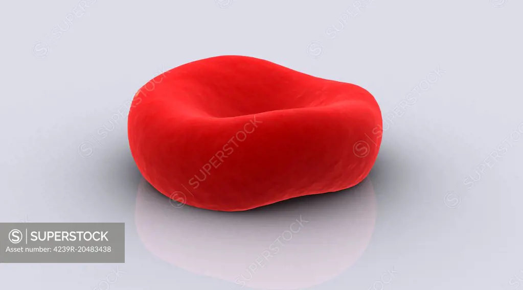 Conceptual image of a red blood cell.