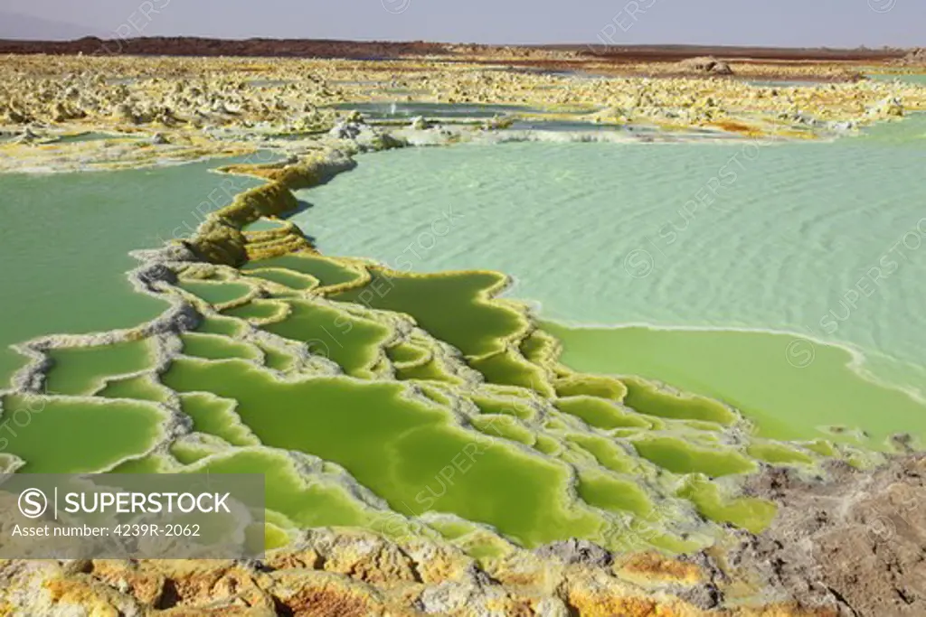 January 27, 2011 - Dallol geothermal area, sinter terrace like structures in potassium salt deposits formed by brine hot springs, Danakil Depression, Ethiopia.