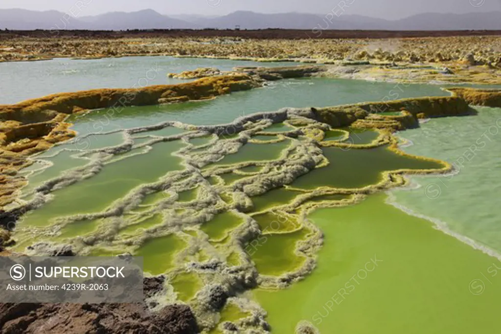 January 27, 2011 - Dallol geothermal area, terraces of potassium salt deposits formed by brine hot springs, Danakil Depression, Ethiopia.