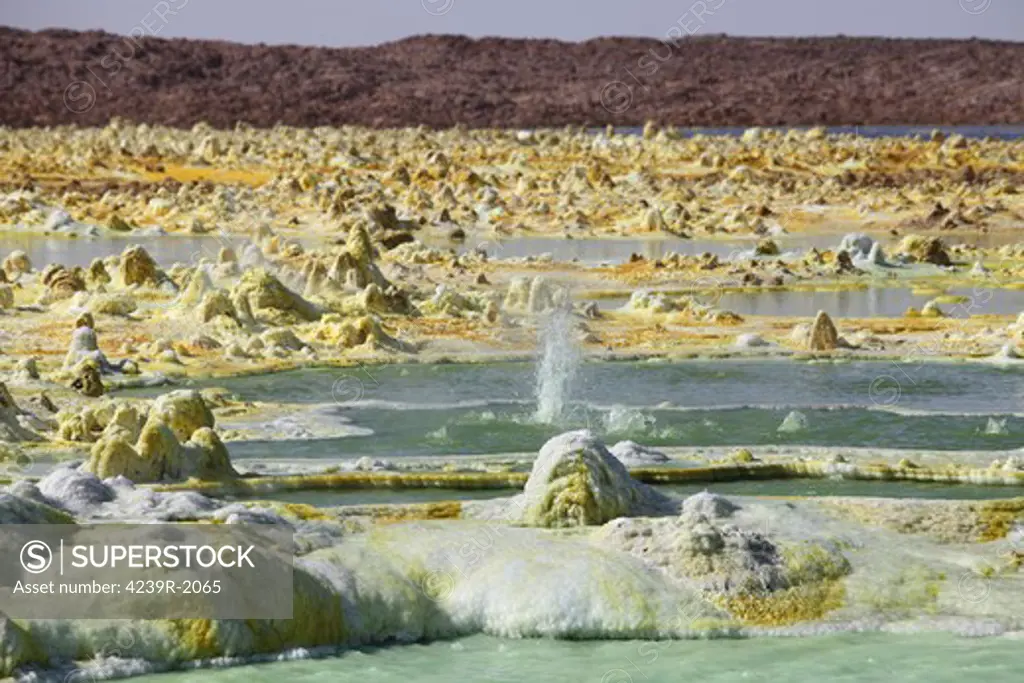 January 27, 2011 - Dallol geothermal area, small geyser amongst potassium salt deposits formed by brine hot springs, Danakil Depression, Ethiopia.