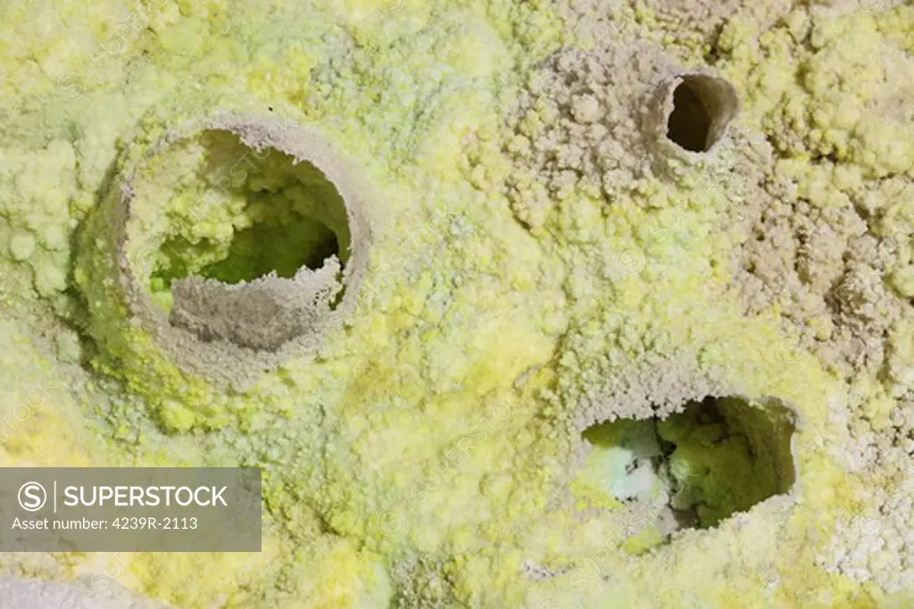 February 10, 2008 - Dallol geothermal area, egg-shaped fumarole deposits formed in salt deposits of brine hot springs, Danakil Depression, Ethiopia.