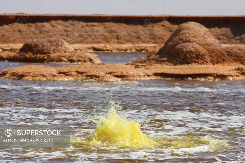 February 11, 2008 - Dallol geothermal area, hot spring in yellow brine lake containing potassium salts, Danakil Depression, Ethiopia.