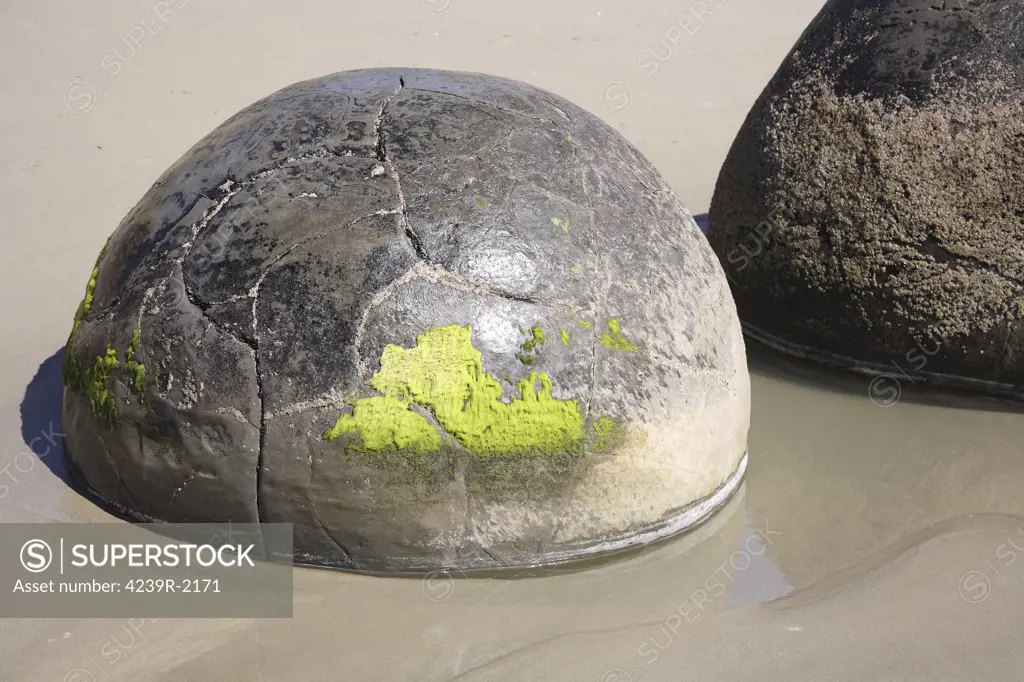 November 13, 2007 - Moeraki Boulders, spherical septarian concretions created by cementation of Paleocene mudstone of the Moeraki formation, Koekohe Beach, New Zealand.