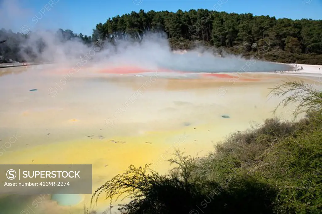 November 2007 - Champagne Pool and Artist's Palette, Wai-O-Tapu Geothermal area, Taupo Volcanic Zone, New Zealand.