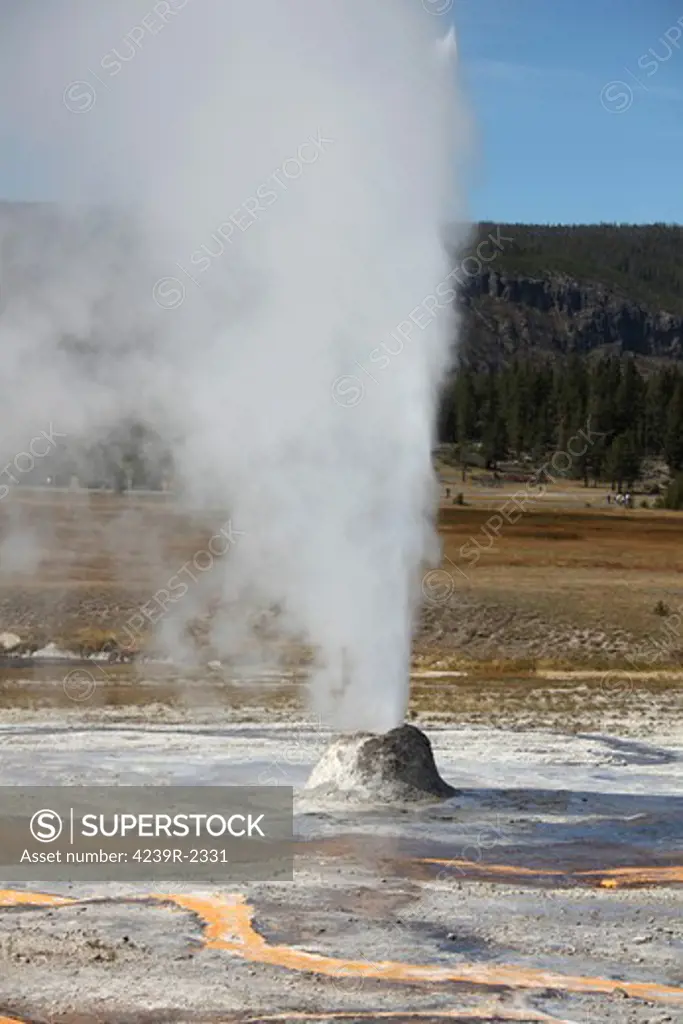 September 11, 2009 - Beehive Geyser erupting, Upper Geyser Basin geothermal area, Yellowstone Caldera, Yellowstone National Park, Wyoming.
