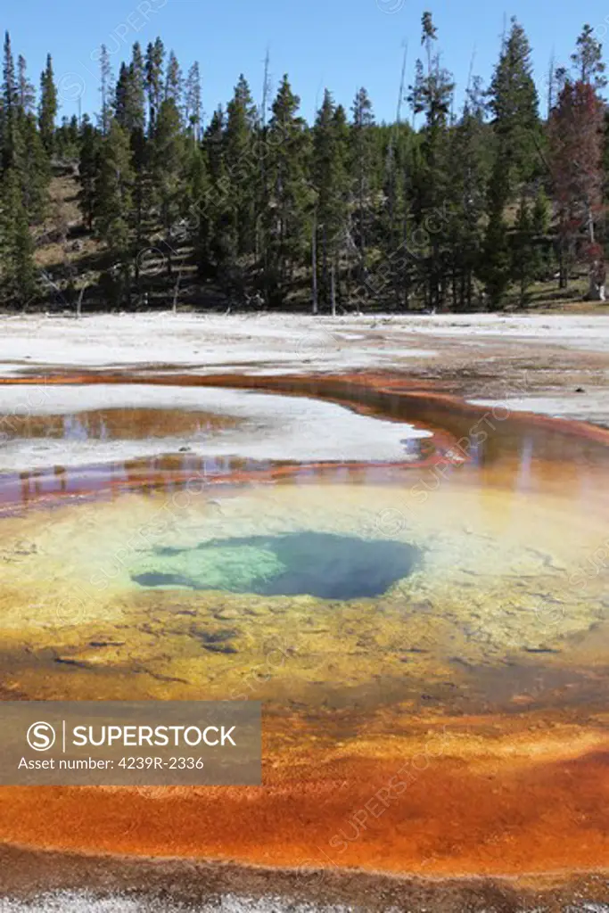 September 12, 2009 - Chromatic Pool Hot Spring, Upper Geyser Basin geothermal area, Yellowstone Caldera, Yellowstone National Park, Wyoming.
