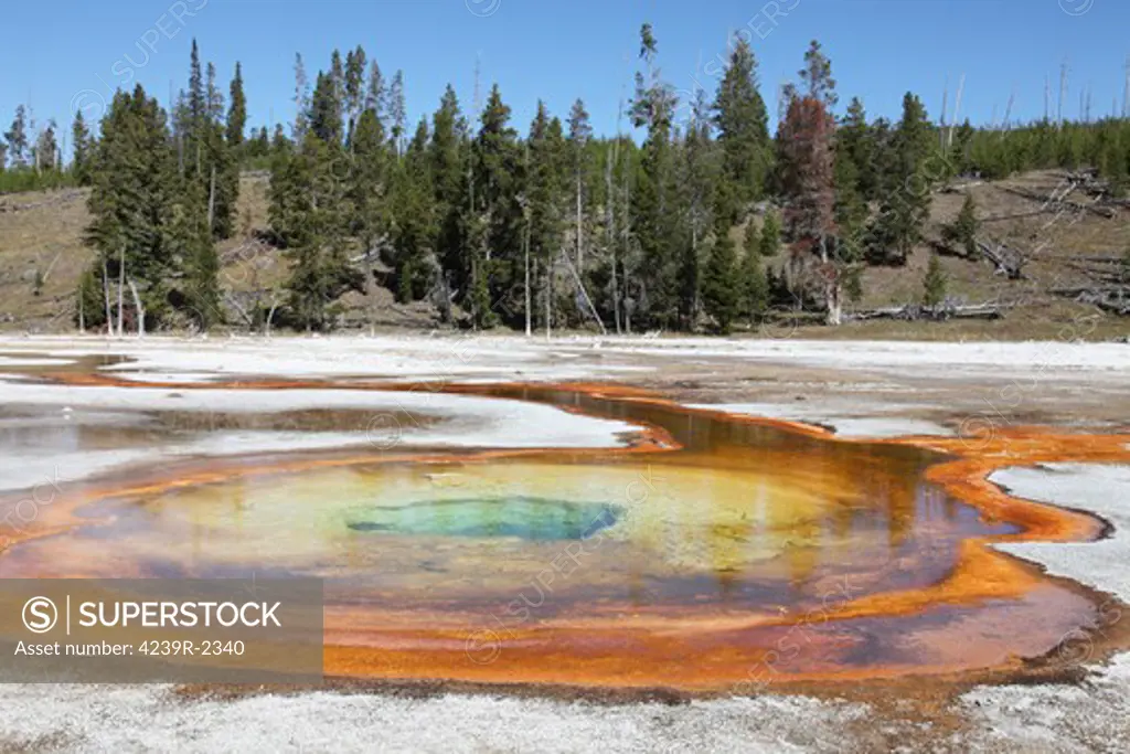 September 12, 2009 - Chromatic Pool Hot Spring, Upper Geyser Basin geothermal area, Yellowstone Caldera, Yellowstone National Park, Wyoming.