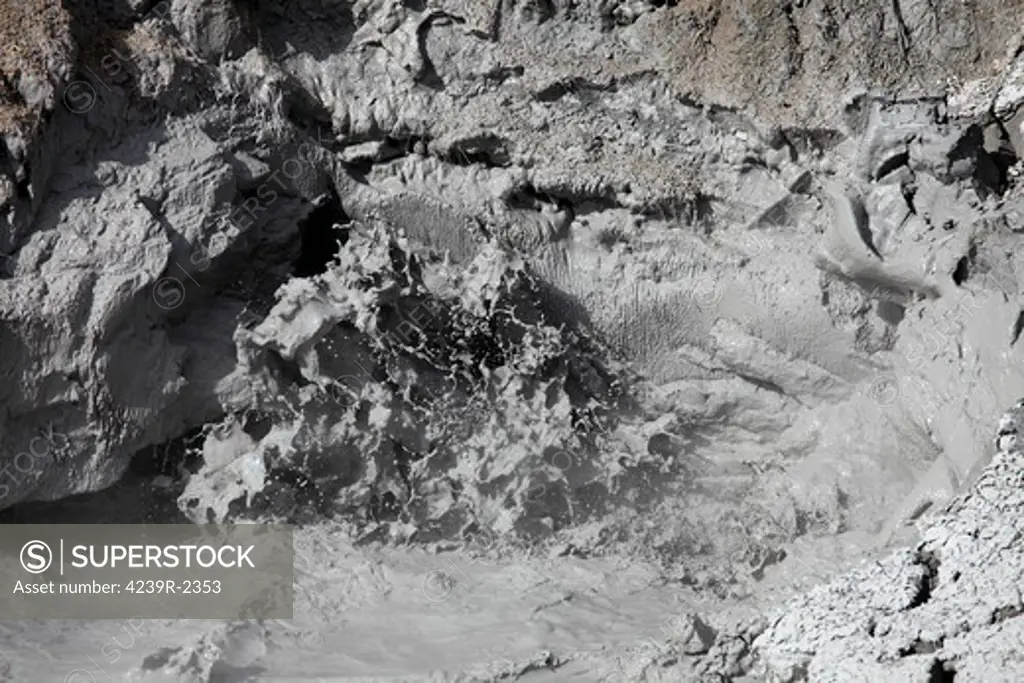 September 14, 2009 - Mud volcano hot spring geothermal feature, Yellowstone Caldera, Yellowstone National Park, Wyoming.