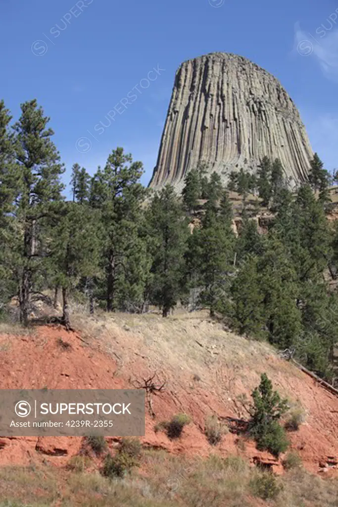 September 15, 2009 - Devils Tower, a monolithic igneous intrusion or laccolith made of columns of phonolite porphyry, Wyoming.