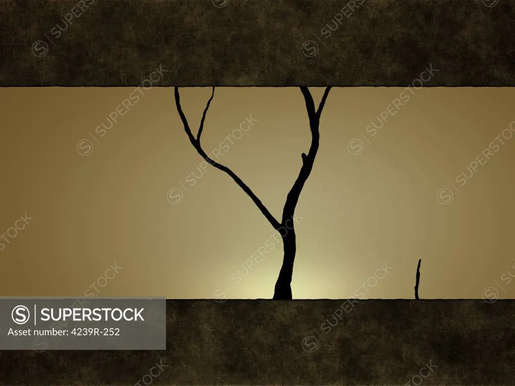 Illustration of a tree against a sunset