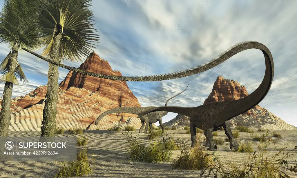 Two Diplodocus dinosaurs search for food in a desert landscape.