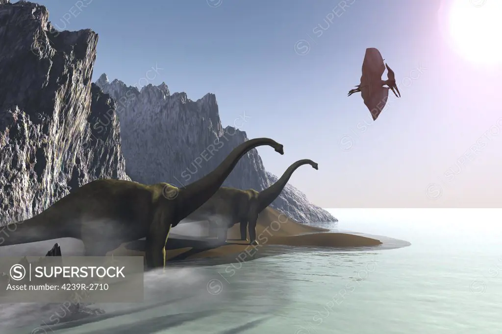 Two Diplodocus dinosaurs and a pterodactyl come to the shore for a drink of water.