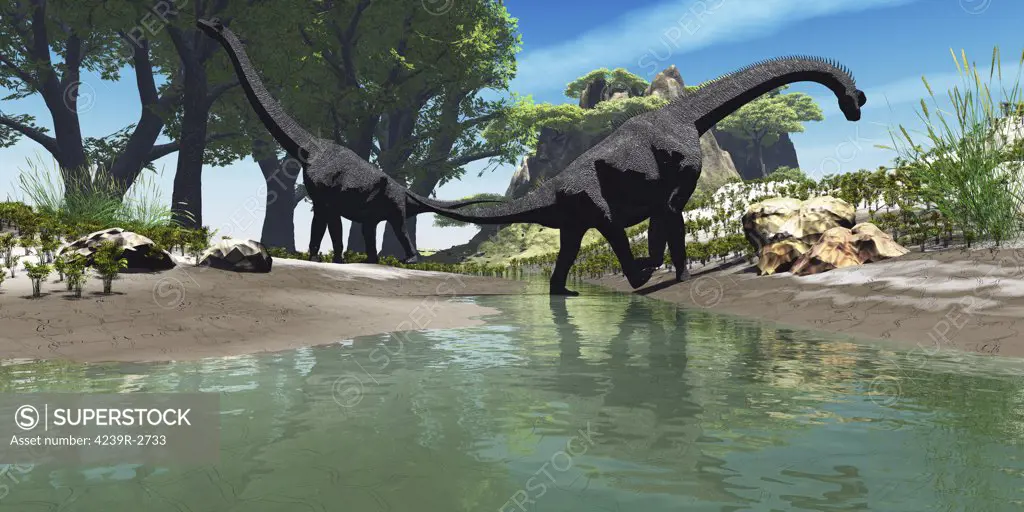 Two large Brachiosaurus dinosaurs look for food along the banks of a stream.