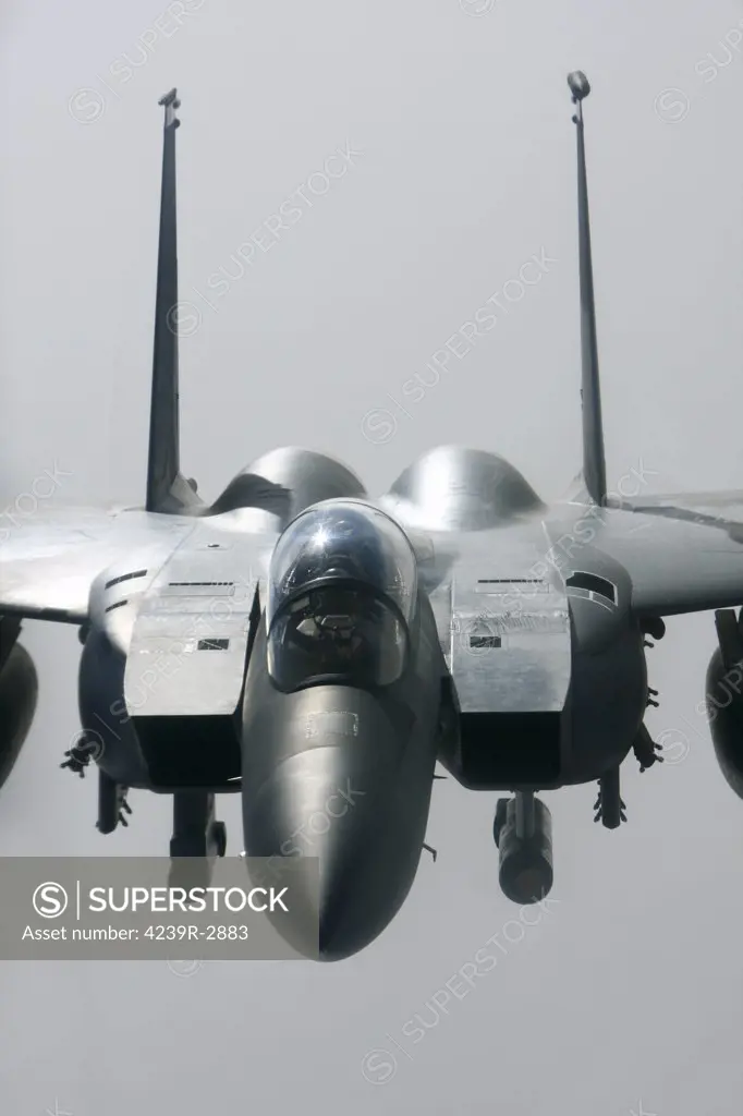 McDonnell Douglas F-15E Strike Eagle of the U.S. Air Force.