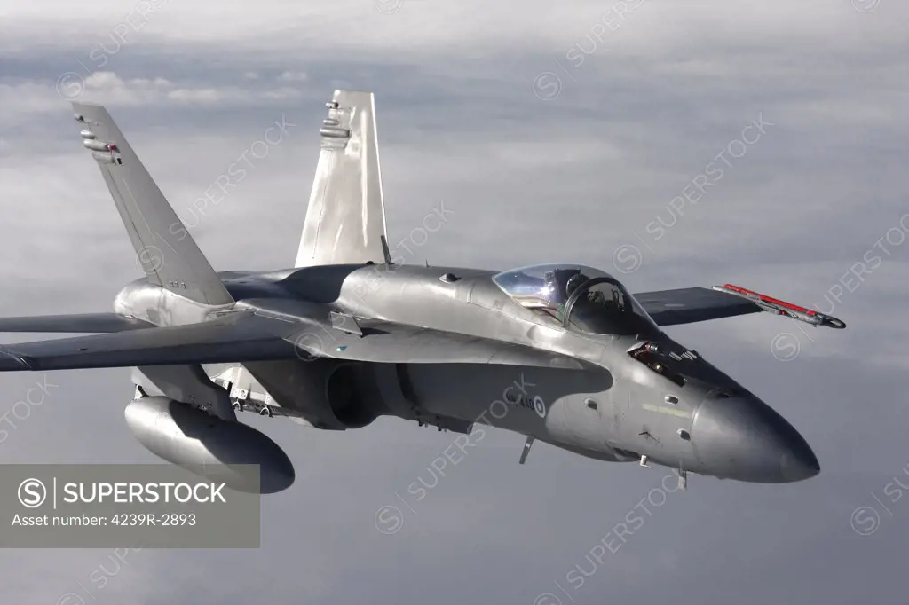 McDonnell Douglas F/A-18 Hornet of the Finnish Air Force.