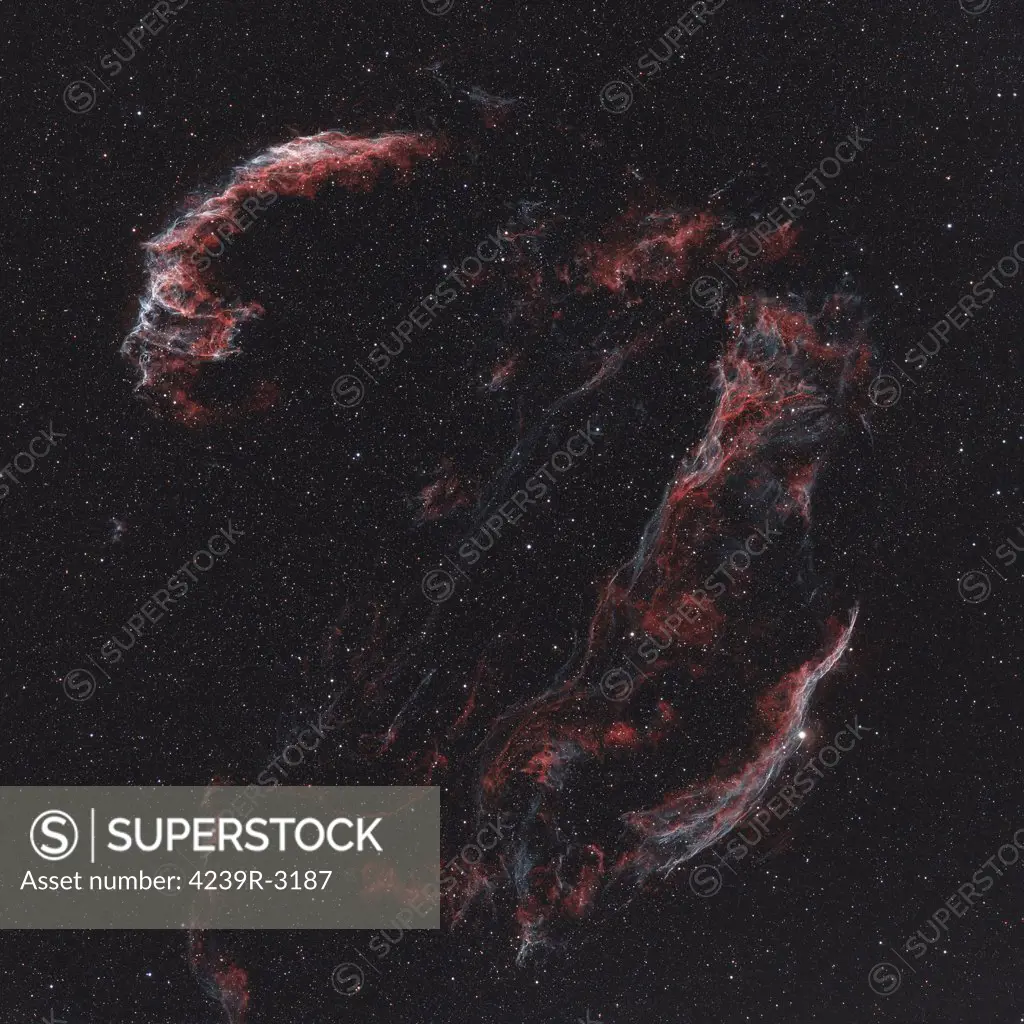 The Veil Nebula showing the following components: The Eastern Veil Nebula, The Western Veil Nebula, and Pickering's Triangular Wisp.