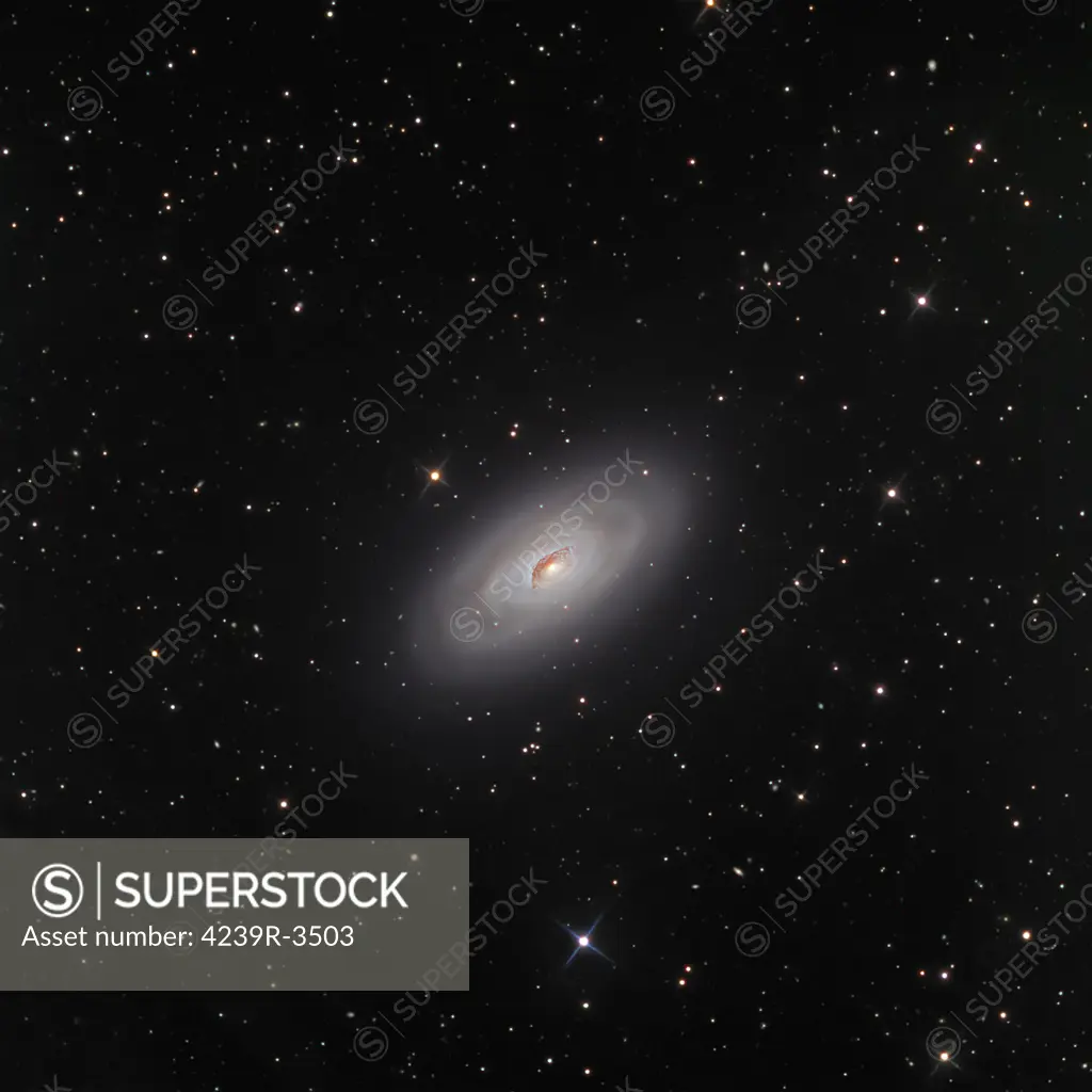 The Black Eye Galaxy, Messier 64, has a prominent dust structure first observed by William Herchel  in 1785, who referred to it as a Black Eye  in Coma Berenices.