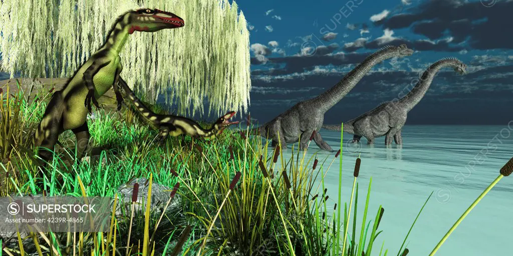 Small Dilong dinosaurs watch as two Brachiosaurus dinosaurs wade across a lake.