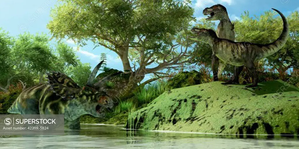 Confrontation between two Tyrannosaurus Rex and a Coahuilaceratops.