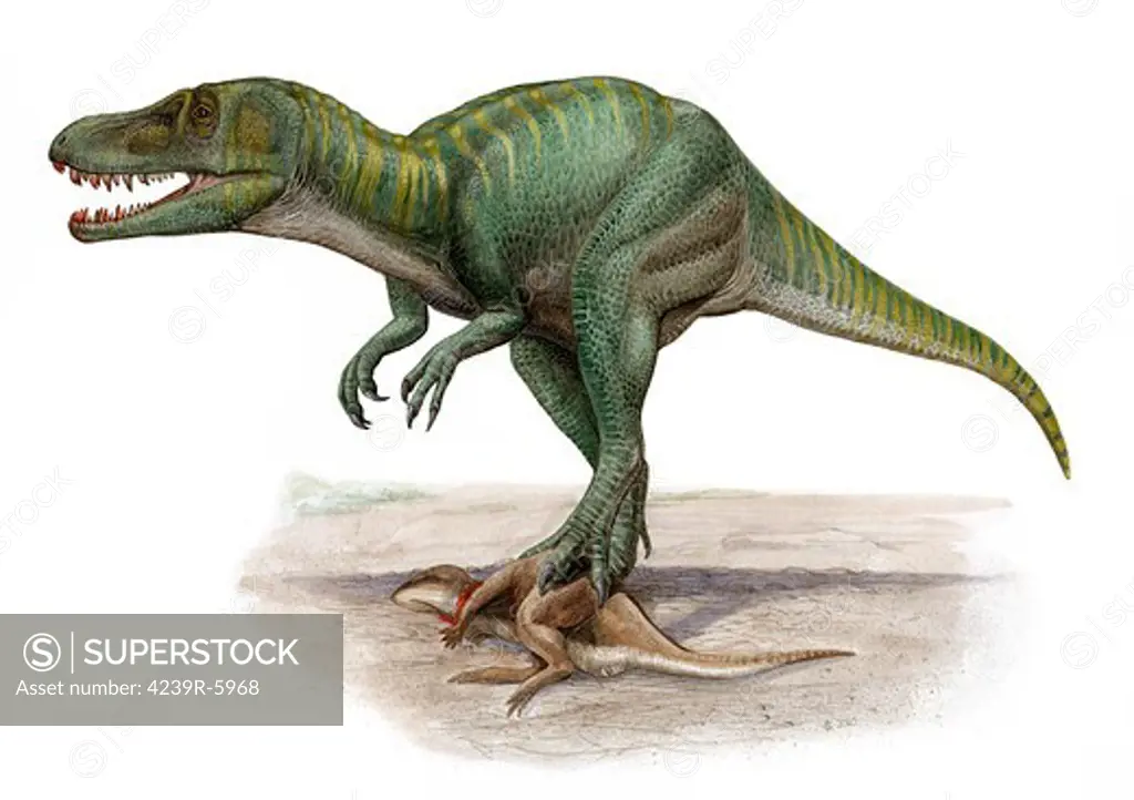 Marshosaurus bicentesimus, a prehistoric era dinosaur.