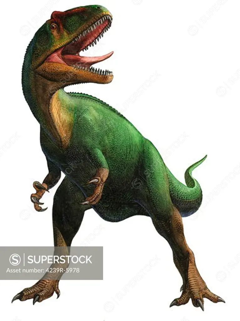Saurophaganax maximus, a prehistoric era dinosaur.