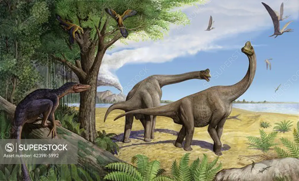 A raptor stalks a pair of grazing Europasaurus holgeri dinosaurs.