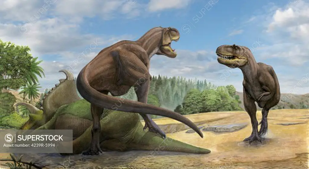 A Teratophoneus dinosaur defends its prey from another relative.