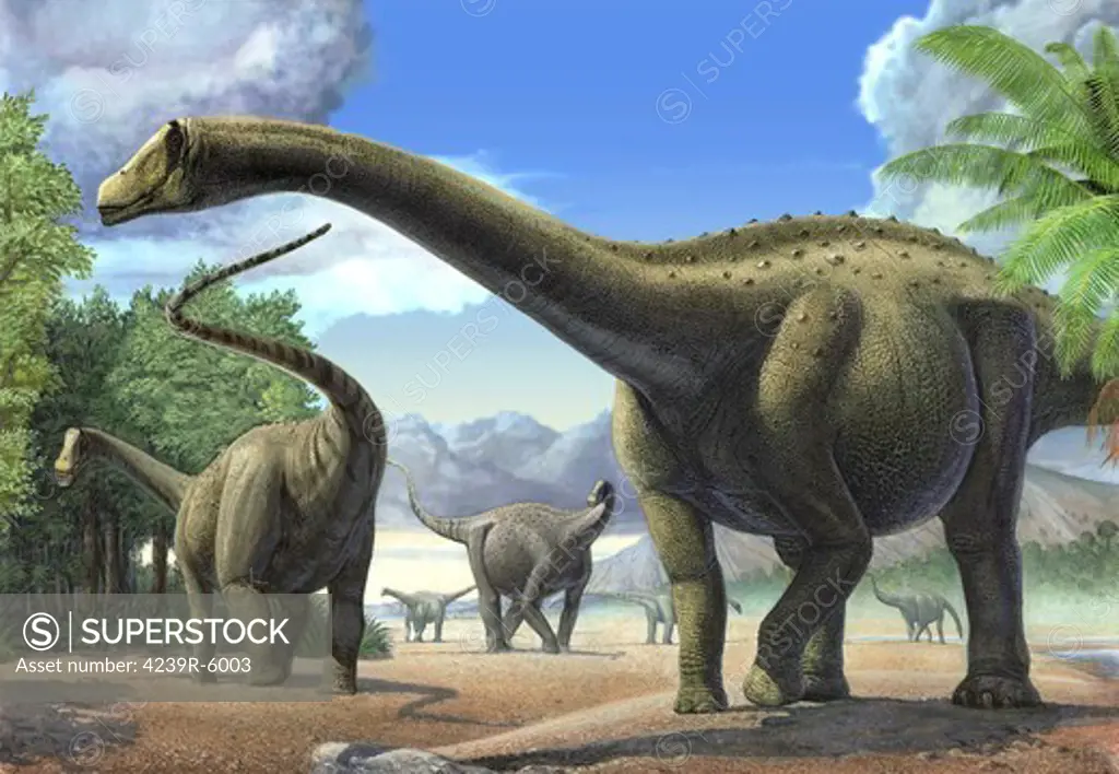 A group of Tapuiasaurus macedoi dinosaurs.