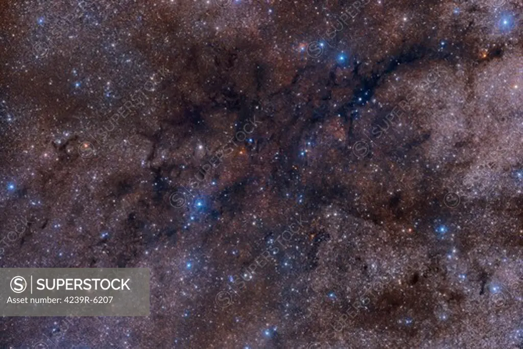 The massive dark nebula complex LDN 1003.
