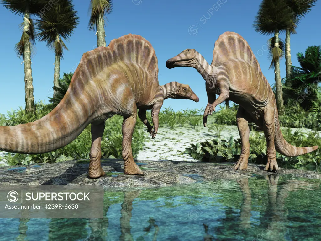 Two Ouranosaurus grazing in a stream.