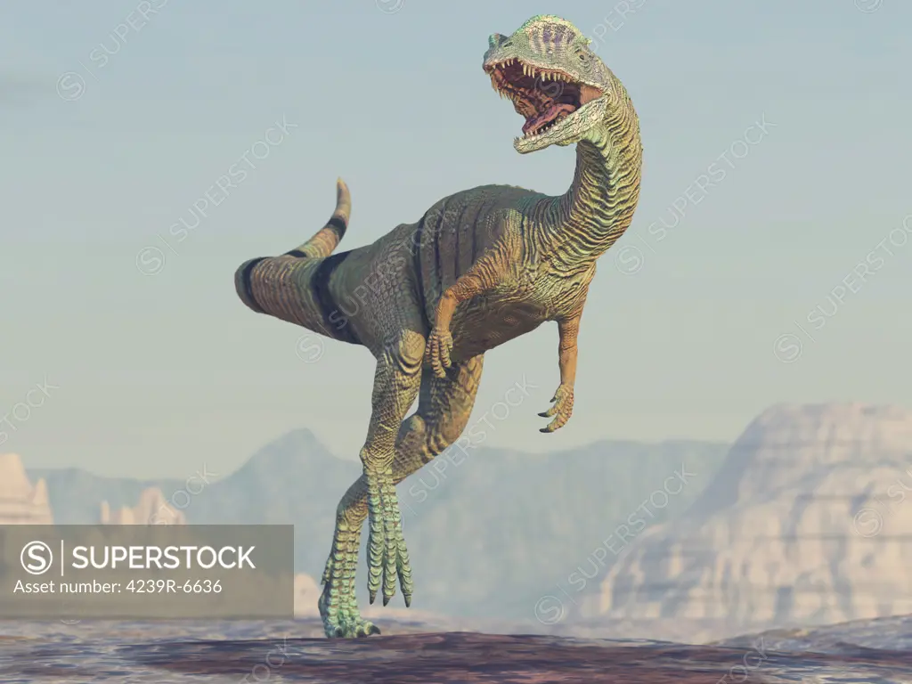 Dilophosaurus running in open country.