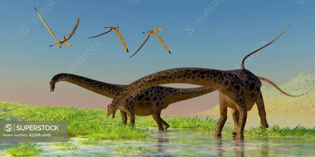 A flock of Pterosaur birds fly over two Diplodocus dinosaurs feeding in a lush marsh.