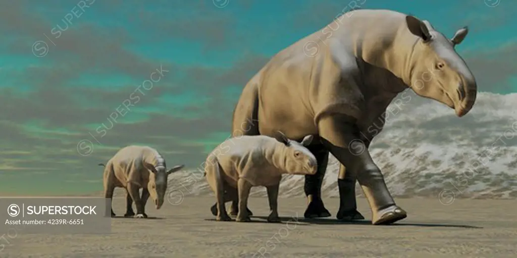 A rhinoceros-like Paraceratherium mother with two twin calves walks along a stoney desert in the Oilgocene Era.