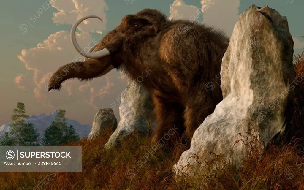A mammoth standing among stones on a hillside.