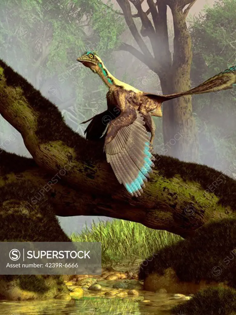 An Archaeopteryx on a log above a stream.