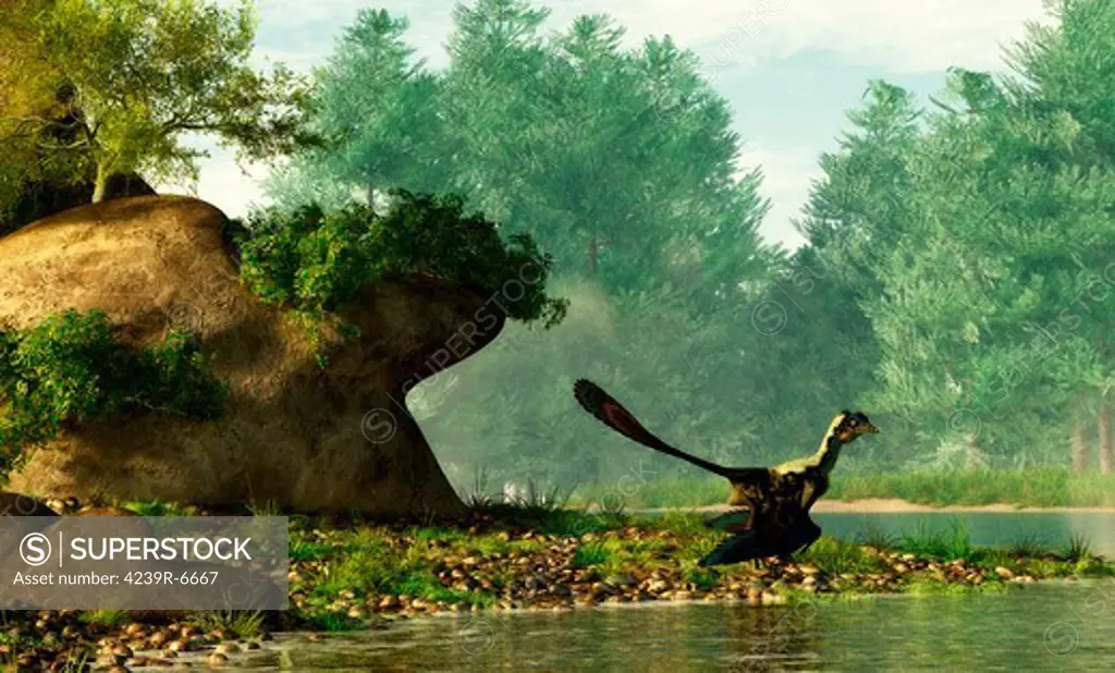 Archaeopteryx on the shore of a river.