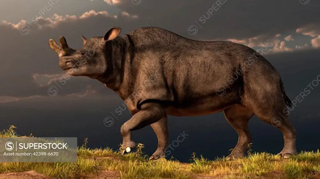 A Brontotherium walking atop a grassy hill.