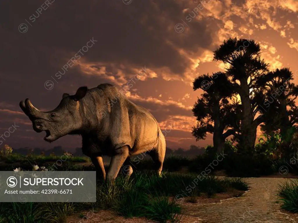 A Megacerops grazing a prehistoric landscape. Only one flower left, then breakfast is done for this double horned relative of the modern rhinoceros.