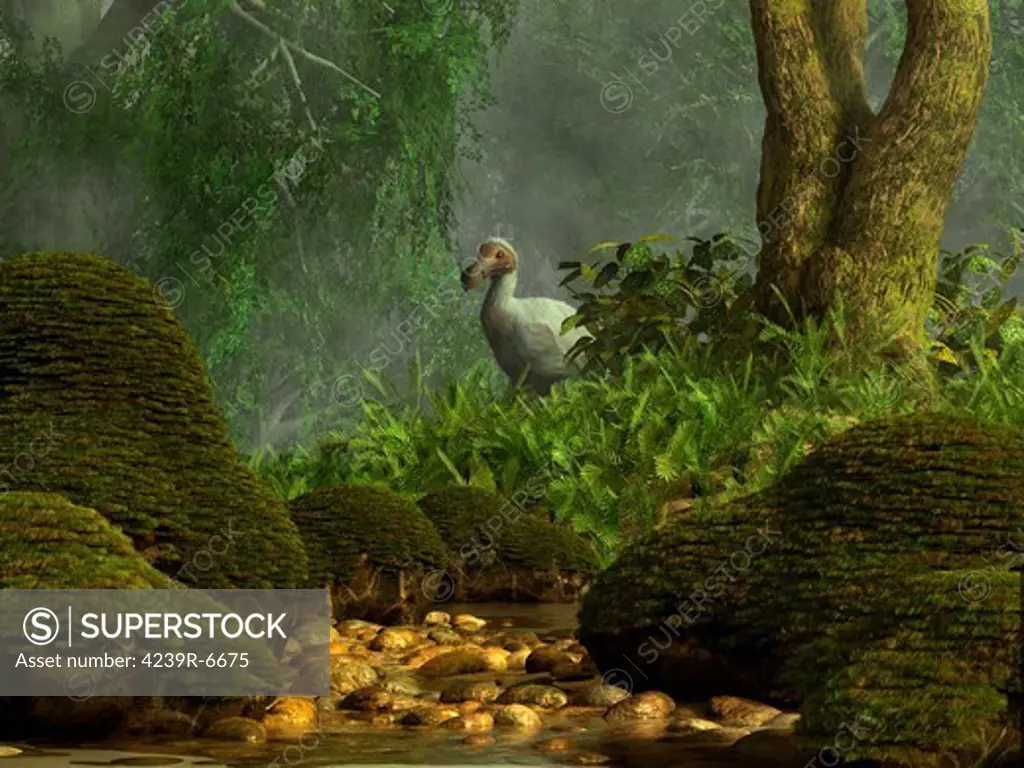 A Dodo bird hides in a dense jungle near a stream filled with large mossy boulders.