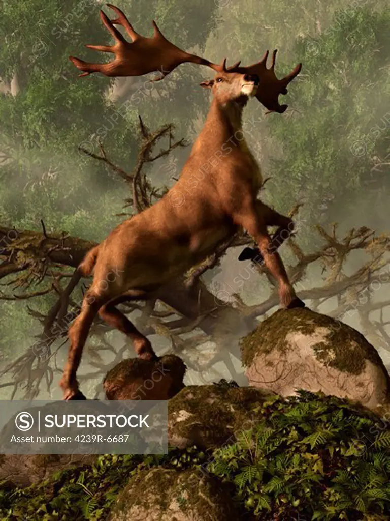 An Irish Elk stands proudly in a dense forest.