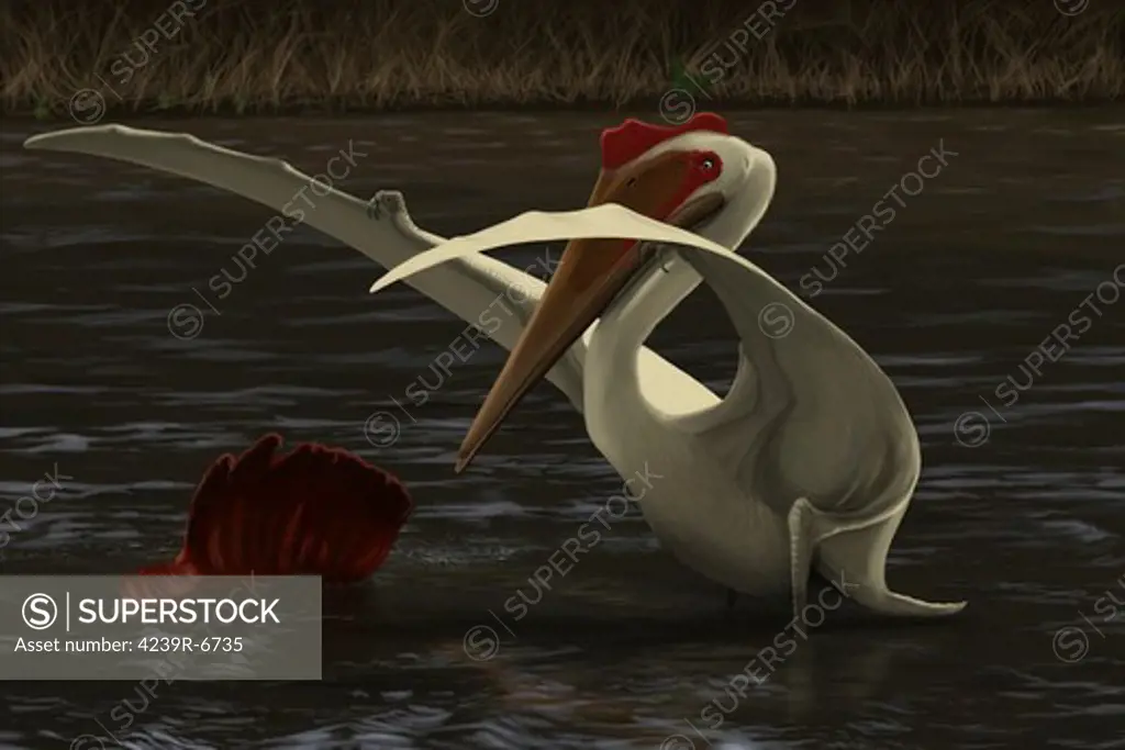Quetzalcoatlus hunting for food in a prehistoric lake.