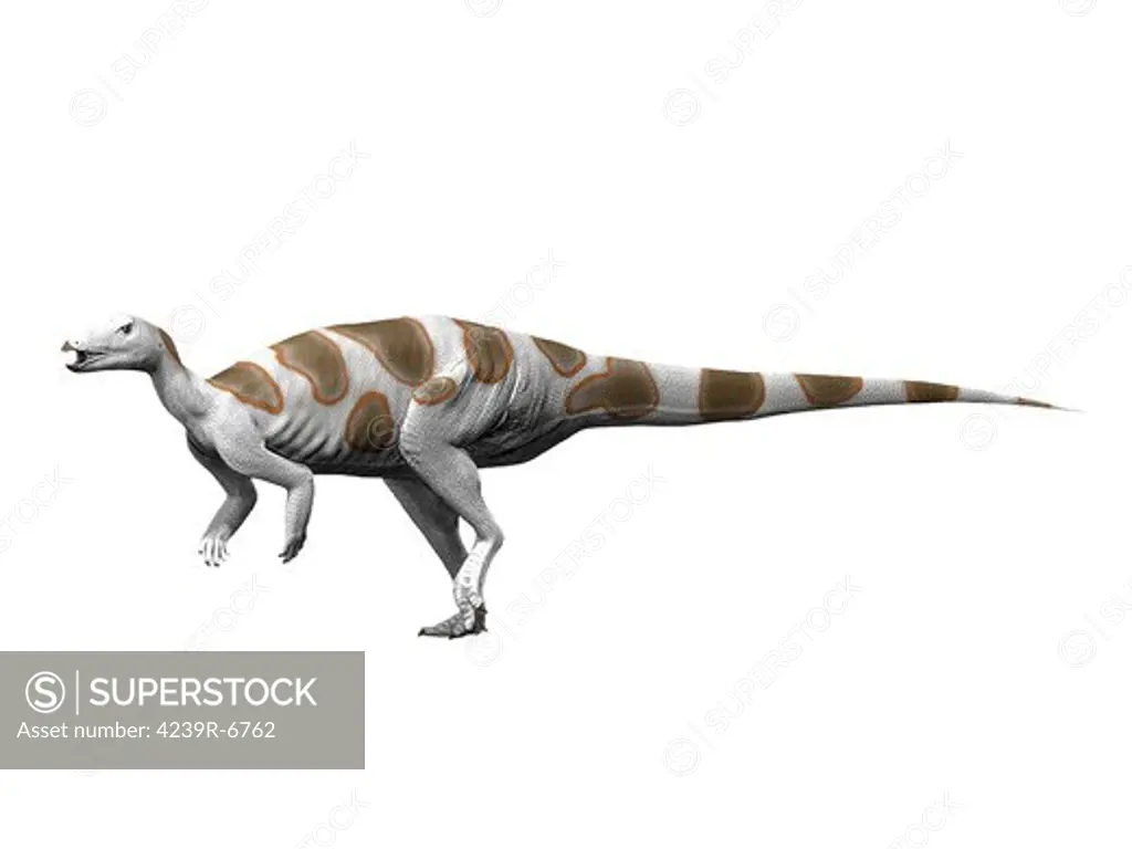 Trinisaura santamartaensis, Late Cretaceous of Antarctica.