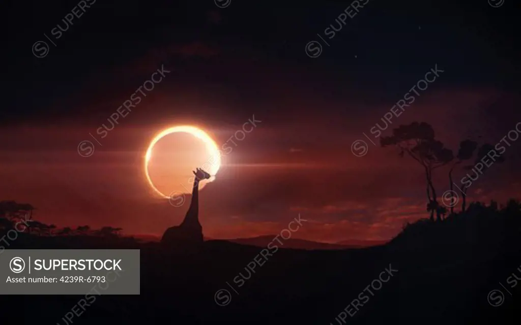Solar eclipse over Africa.